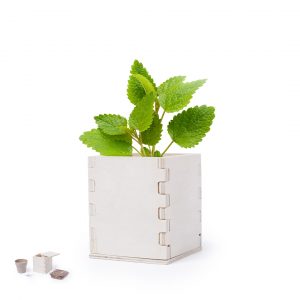 Maceta - Merin - 6223